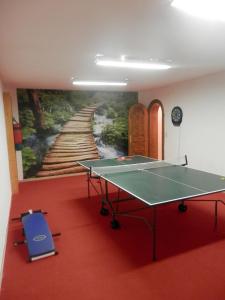 a ping pong table in a room with a mural at Haus Aida in Längenfeld