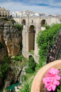 a bridge over a river with pink flowers on a table at Hotel Montelirio in Ronda