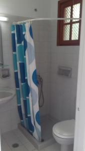La salle de bains est pourvue d'un rideau de douche et de toilettes. dans l'établissement Amaliahotel, à Apolakkiá