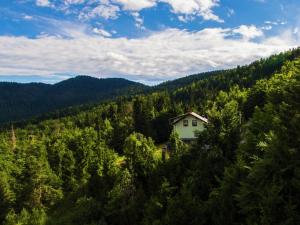 une petite maison au milieu d'une forêt dans l'établissement Secluded Holiday Home with Jacuzzi in Kozji Vrh, à Kozji Vrh