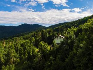 A bird's-eye view of Secluded Holiday Home with Jacuzzi in Kozji Vrh