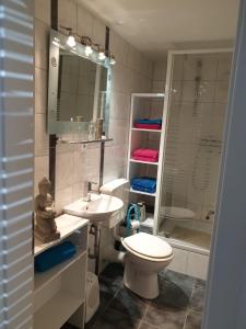 een badkamer met een toilet, een wastafel en een douche bij Haus Ella in Homburg