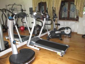 a gym with several exercise bikes and a treadmill at Villa Castello Rausch in Poreč