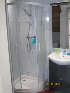 una ducha con una puerta de cristal junto a un lavabo en Les gites PENTY de KERROYAL, en Garlan