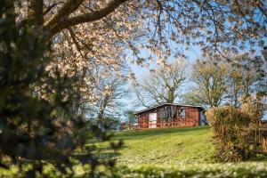 a wooden house on a grassy hill with trees at Timber Hill Self Catering Cedar Lodges in Broad Haven