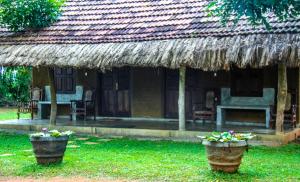 Zahrada ubytování Ama Villa