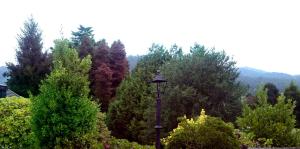 Zdjęcie z galerii obiektu Slow House y La cabaña de Miss Slower w mieście Nigrán