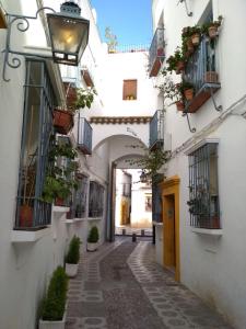 an alley with potted plants and a building at Guimar Advance en plena judería in Córdoba
