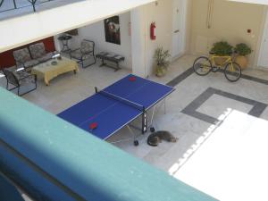 a blue ping pong table in a living room with a cat at Areti & Maria Apartments in Gythio