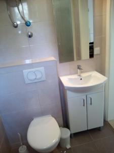 a bathroom with a white toilet and a sink at Marinja Studio in Žuljana