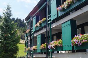 Gallery image of Schwarzwald-Ferienwohnung mit Panorama und Pool in Sasbachwalden