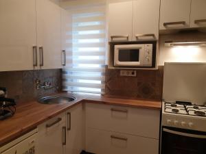 a kitchen with a sink and a microwave at Adri Apartman in Zalakaros