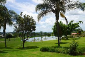 גינה חיצונית ב-ANEW Resort White River Mbombela