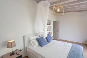 圣帕拉斯凯维Theasea的相册照片