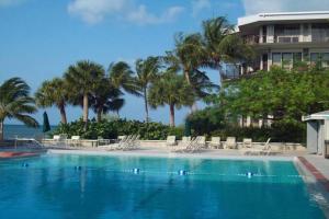 a swimming pool with chairs and palm trees and a building at Coconut Palms in Key West