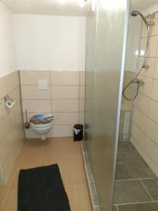 a bathroom with a toilet and a glass shower at Ferienhaus an See in Nohfelden +14 photos