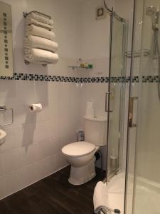 A bathroom at Sunflower Lodge 