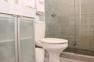 a bathroom with a white toilet and a shower at Downtown Beacon Hill, Convenient, Comfy Studio #10 in Boston +15 photos
