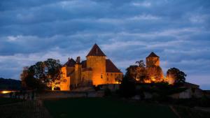 Gallery image of Château de Pierreclos in Pierreclos