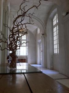 Foto dalla galleria di Hôtel Cloitre Saint Louis Avignon ad Avignone