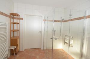 a bathroom with a shower with a glass door at Lottis Utkiek in Middelhagen