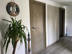 a hallway with a door and a potted plant at Calypso Lakeside Rooms & Lux Apartments in Siófok