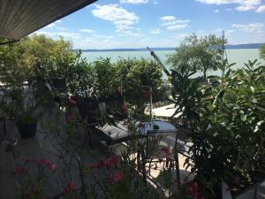 un patio con plantas y vistas al agua en Calypso Lakeside Rooms & Lux Apartments, en Siófok