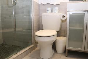a bathroom with a toilet and a glass shower at Comfy Beacon Hill Studio Great for Work Travel #13 in Boston +14 photos