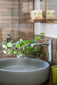 a bathroom sink with a faucet and a plant at Olive Lemon Biophilic House & Lush Forest Garden in Vamos +53 photos