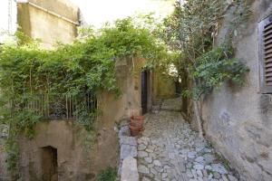 an alley with a pot on the side of a building at Hotel Palazzu Pigna in Pigna