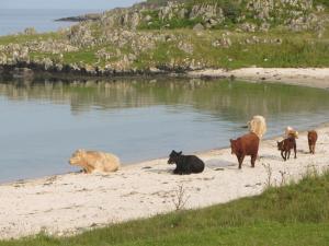 Fotografie z fotogalerie ubytování The Islay Hotel v destinaci Port Ellen