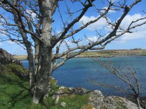 Fotografie z fotogalerie ubytování The Islay Hotel v destinaci Port Ellen
