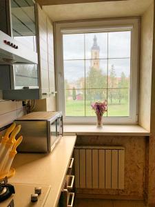 カームヤネツィ・ポジーリシクィイにあるOld Town Apartmentsのキッチン(時計台の景色を望む窓付)
