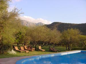un grupo de sillas sentadas junto a una piscina en Cabañas Entrelomas en Nono