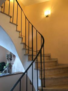 Domácí mazlíčci ubytovaní s hosty v ubytování Hotel Pflieger