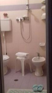 a bathroom with a shower and a toilet and a sink at Hotel Sabrina in Riccione