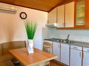 Kuchyň nebo kuchyňský kout v ubytování Apartmani Lisac