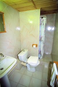 a bathroom with a sink and a toilet and a shower at Hôtel Lou Paouvadou in Sainte-Maxime