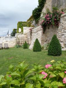 สวนหย่อมนอก La Closerie Saint Jacques