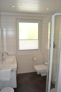 ein Bad mit einem WC, einem Waschbecken und einem Fenster in der Unterkunft Seehotel Andree & Gästehaus Seehof in Waldeck