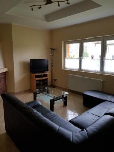 a living room with a couch and a tv at Balaton Villa Gyenes in Gyenesdiás