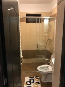 Un baño con inodoro y ducha de cristal. en Casa Pricas, en Moieciu de Jos