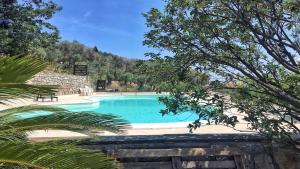 a swimming pool in the middle of a forest at Ü Maxeu- Maestrale in Cervo