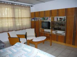 TV a/nebo společenská místnost v ubytování Andrea Apartman Alsópáhok