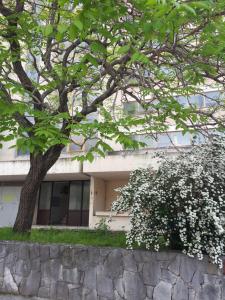 Vonkajšia záhrada v ubytovaní Apartment Gaga Split
