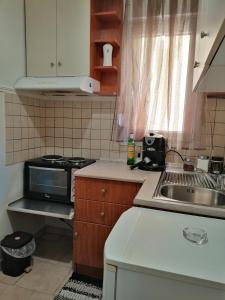 een kleine keuken met een wastafel en een magnetron bij Luxurious Apartment in Veria