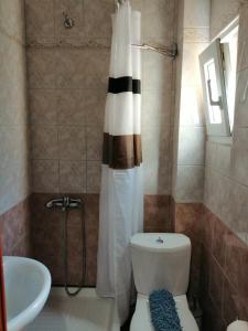 a bathroom with a toilet and a shower curtain at Luxurious Apartment in Veria