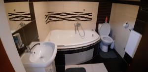 Vannituba majutusasutuses apartmán ve mlejně