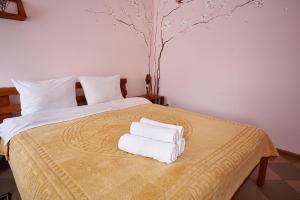 Fotografie z fotogalerie ubytování Sweet Home v destinaci Kamenec Podolský + 7 fotografií