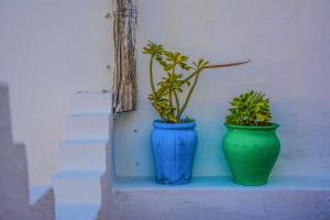 Imagem da galeria de Riad Dari em Tetouan